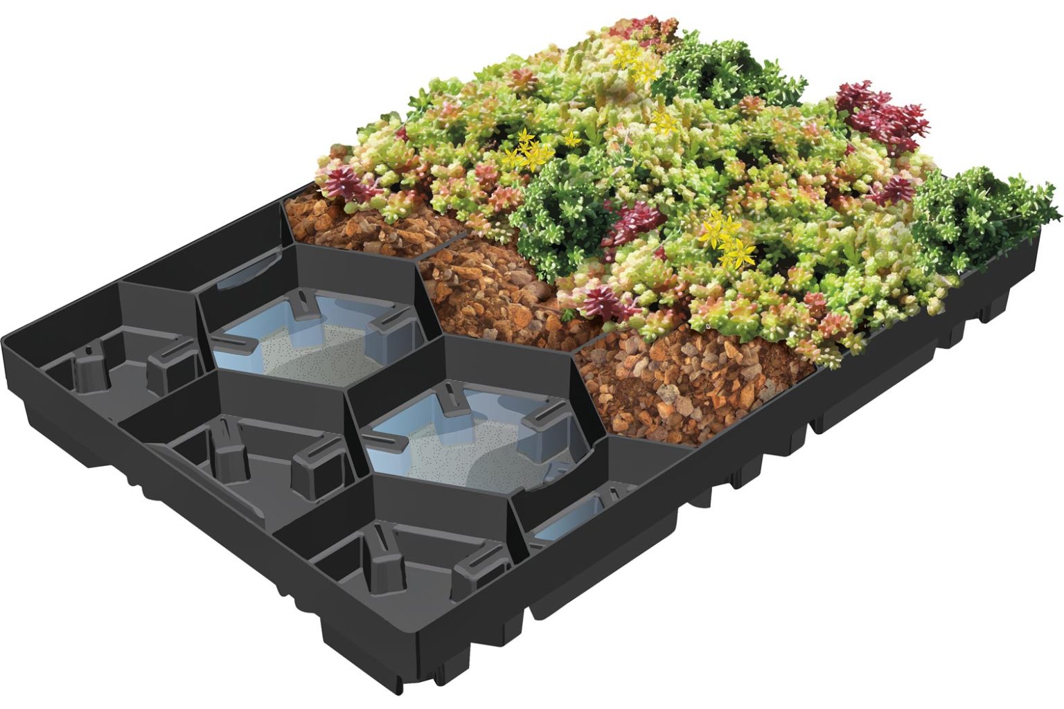 EcoSedum Pack - Allesdach Wagner