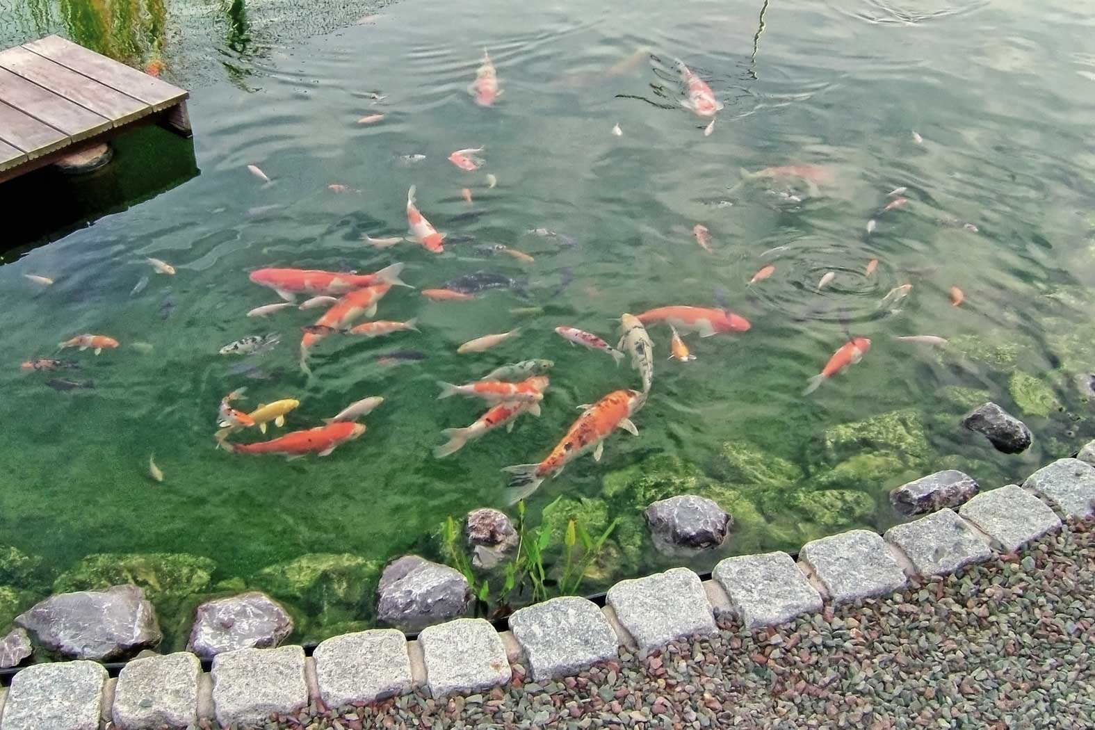 Allesdach Bedachungsgroßhandel Dachbaustoffe Steiermark Österreich Flachdach Schedetal Extrupol Dachbahn
