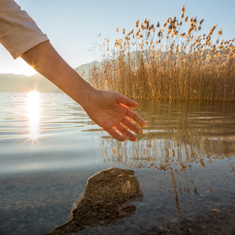 Allesdach Bedachungsgroßhandel Dachbaustoffe Steiermark Österreich